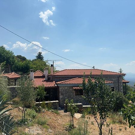 Terra Petra Villa At Psari Trikolonon Gortynia Psarion Экстерьер фото
